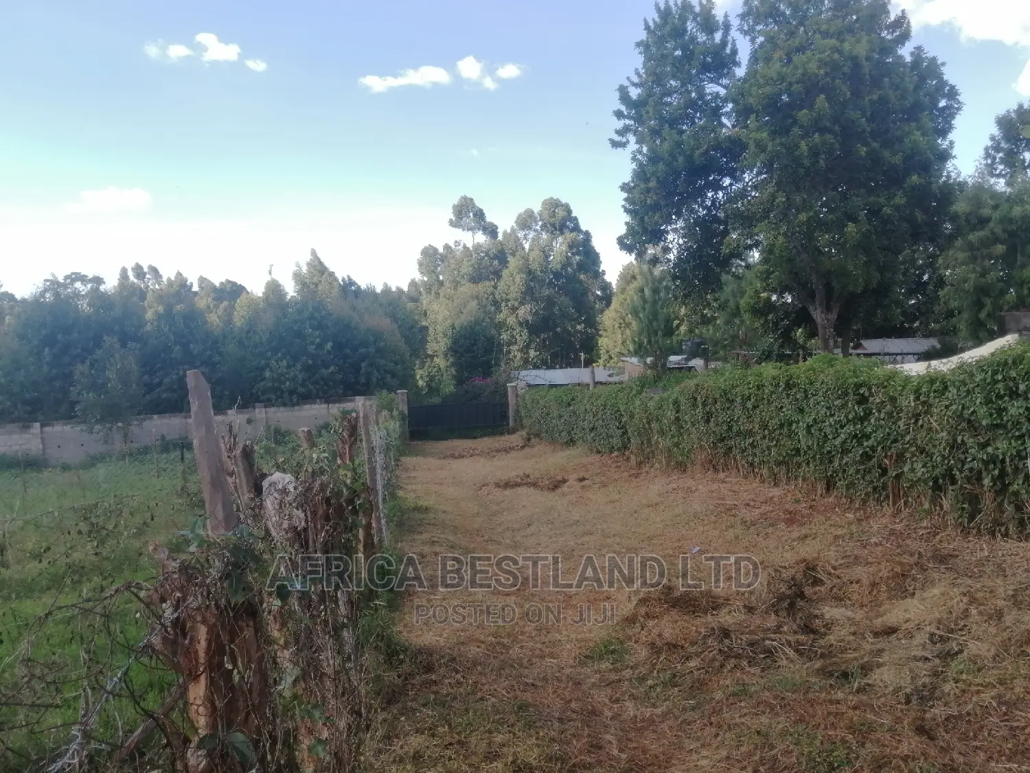 50x100 Ft Plot for Sale in Kabete Kiambu County in Kabete