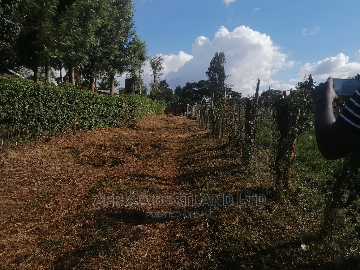 50x100 Ft Plot for Sale in Kabete Kiambu County in Kabete