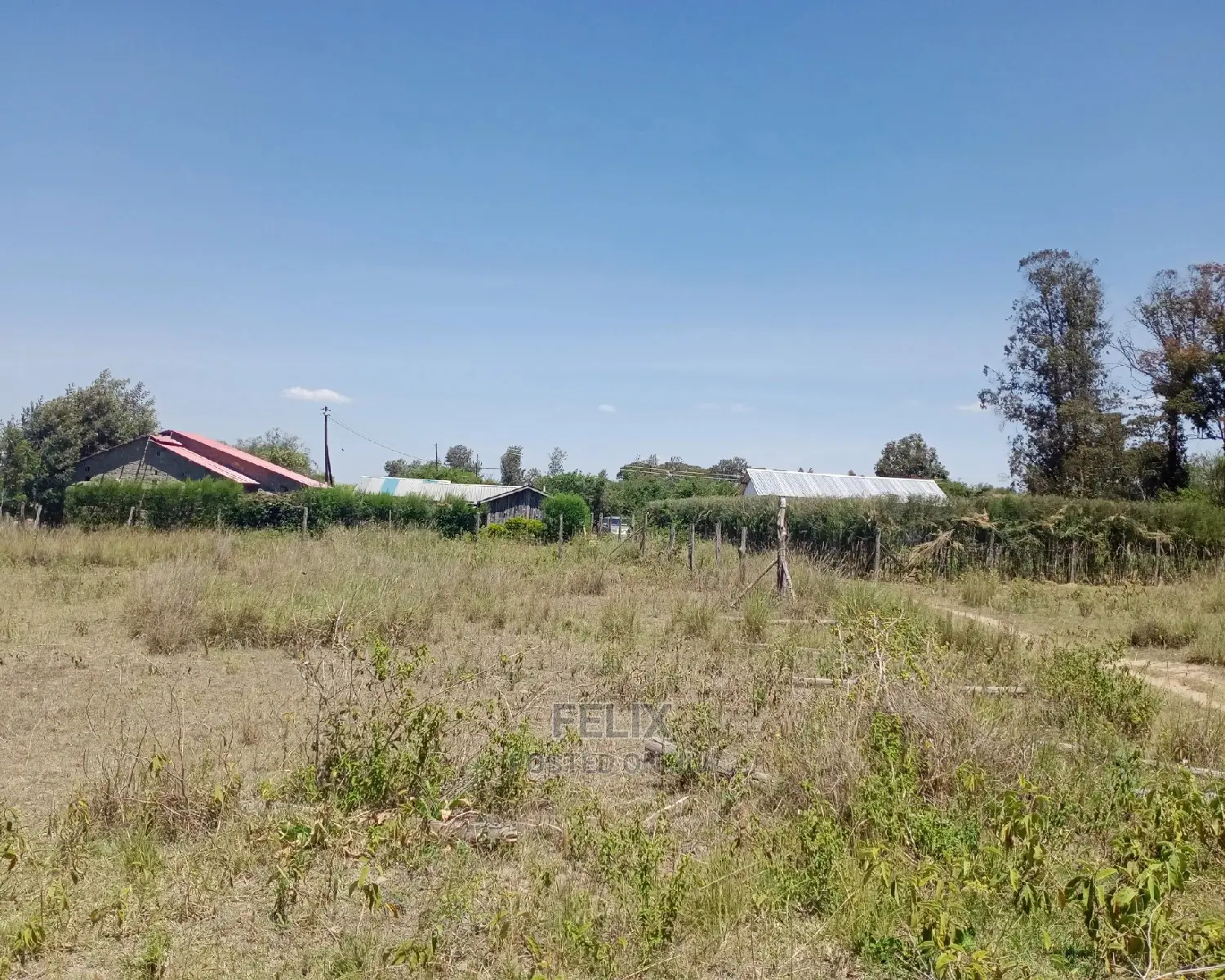 Plots for Sale in Narumoru,150 Meters From Main Tarmac in Naromoru Kiamathaga
