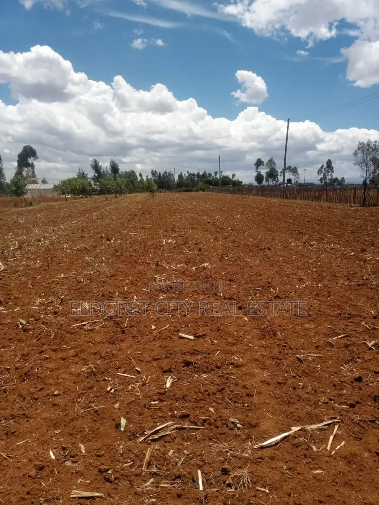 3.1-acre Soy Farm near Tarmac access - Title: Opportunity in Agricultural Investment in Elgon View
