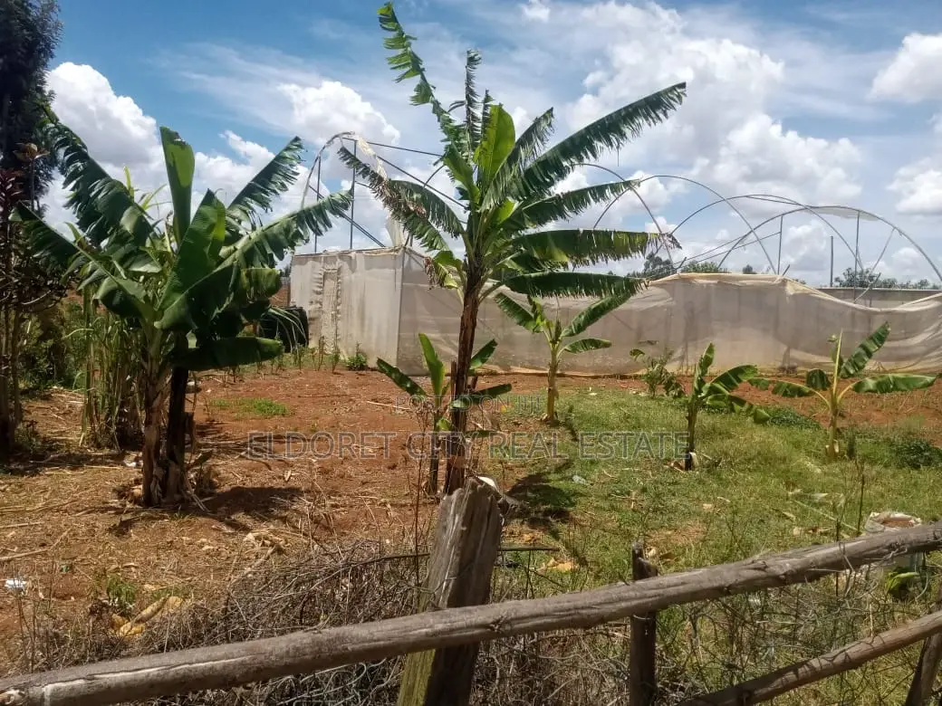 3.1-acre Soy Farm near Tarmac access - Title: Opportunity in Agricultural Investment in Elgon View