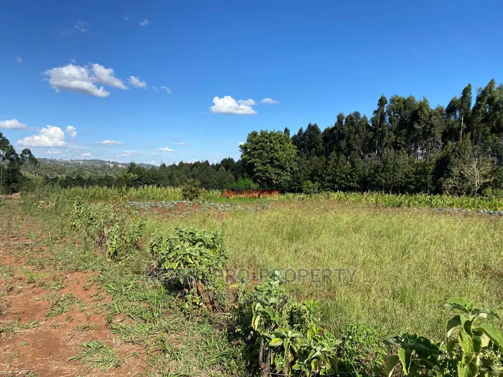 Land Plot in Limuru, Ndeiya Makutano: Ideal Investment Opportunity in Ndeiya
