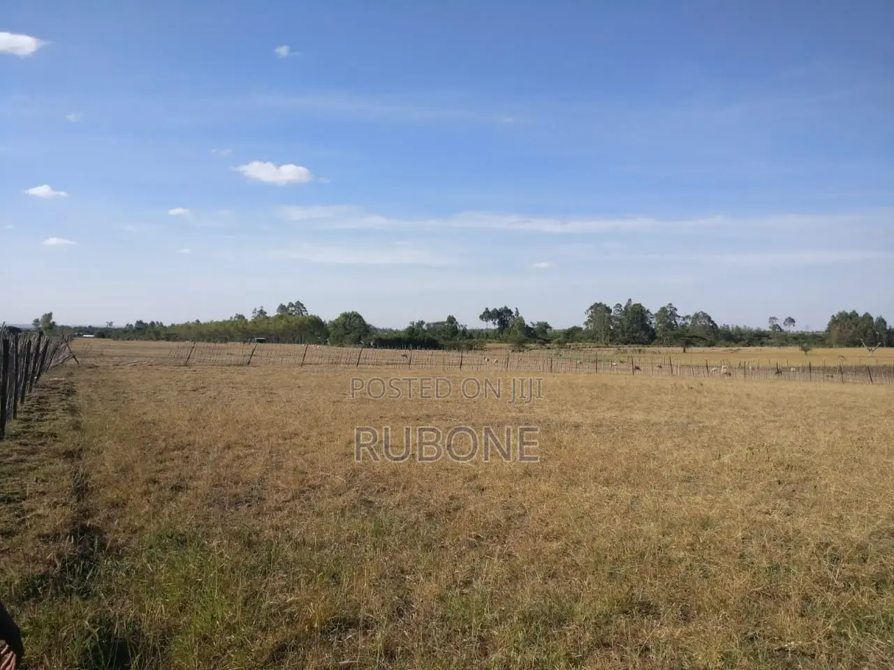 1-Acre Land for Sale Near Nanyuki Airstrip - Ideal Investment Opportunity in Nanyuki