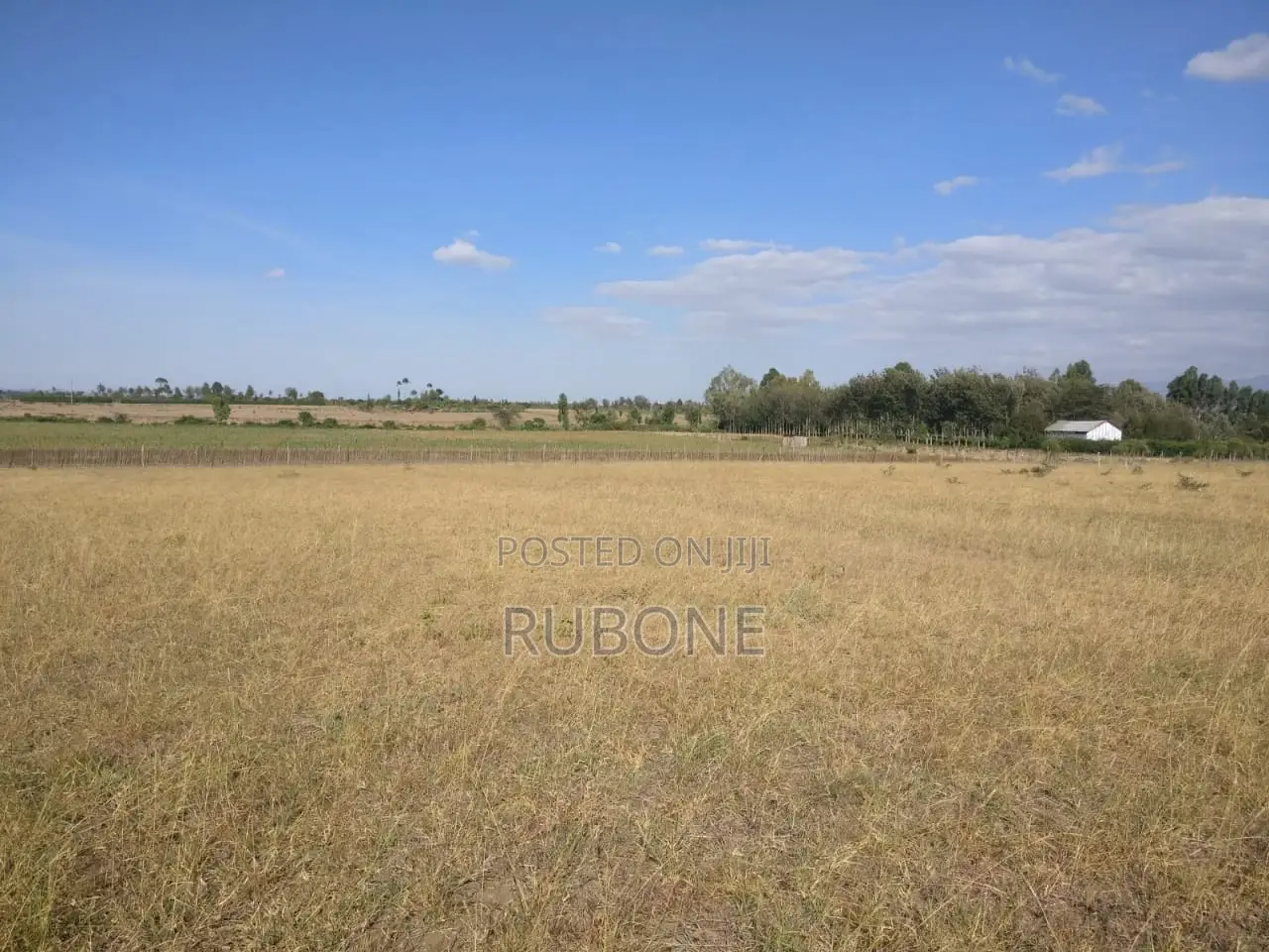 1-Acre Land for Sale Near Nanyuki Airstrip - Ideal Investment Opportunity in Nanyuki