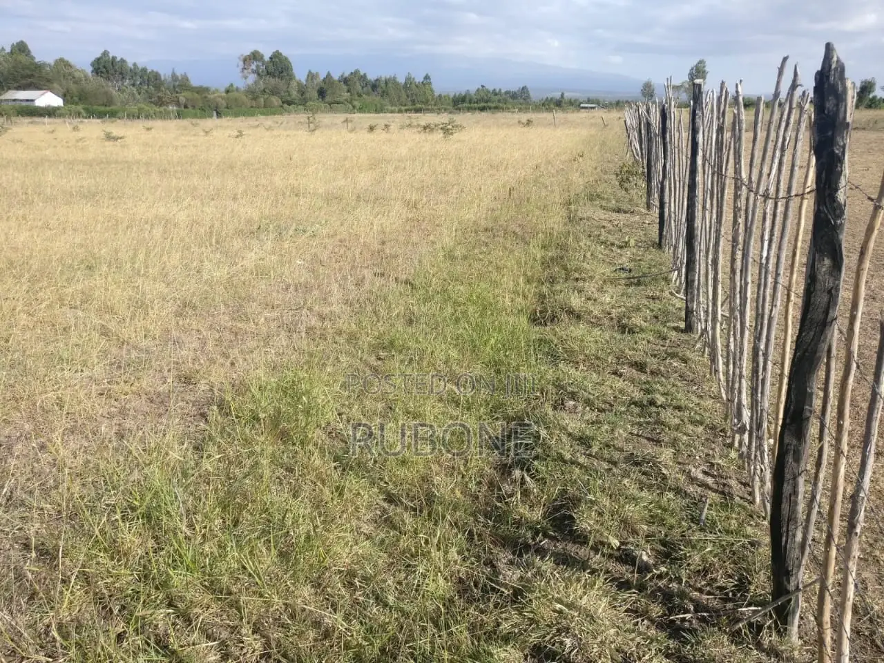 1-Acre Land for Sale Near Nanyuki Airstrip - Ideal Investment Opportunity in Nanyuki