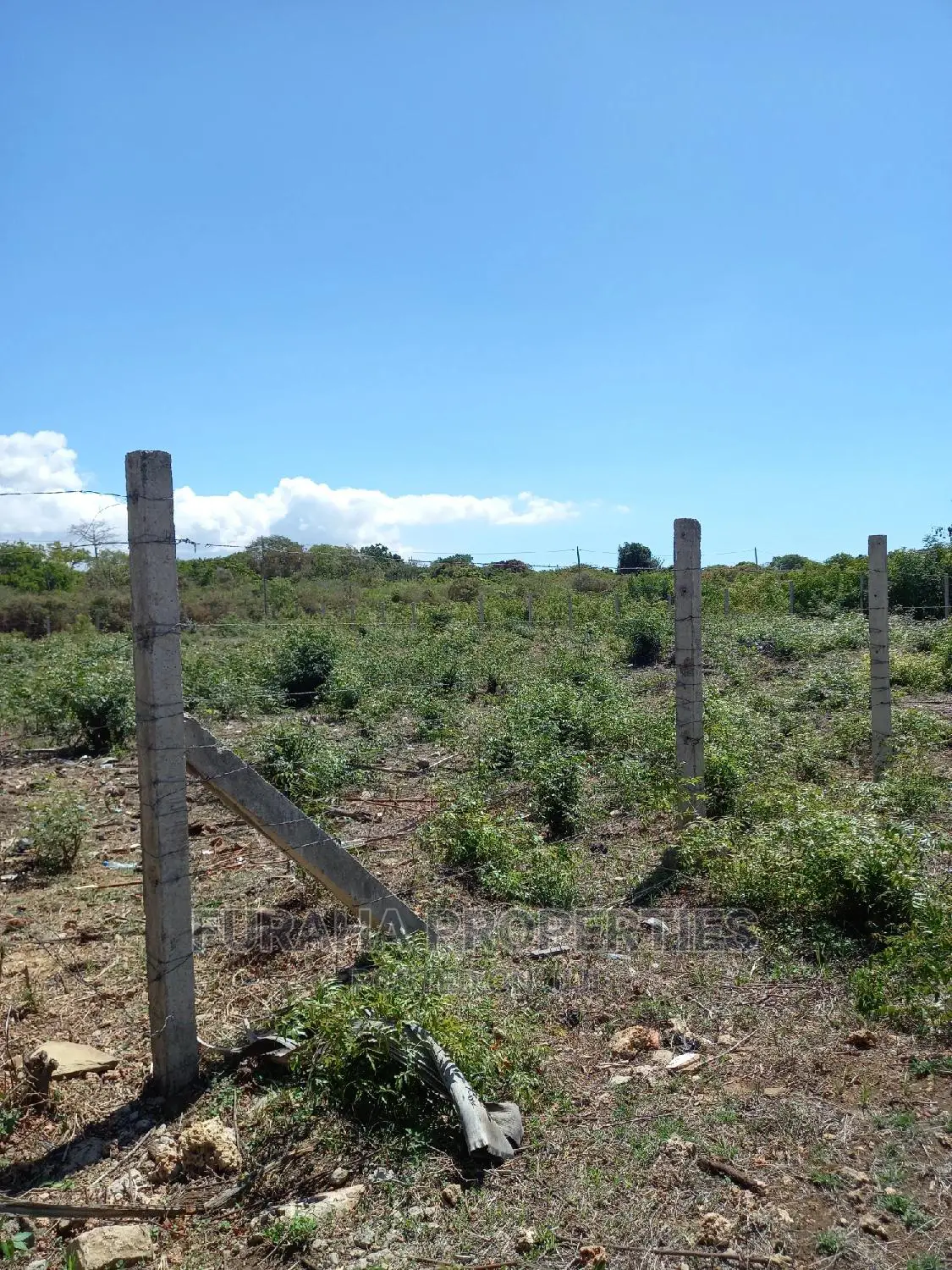 Half Acre Land for Sale in Shanzu - Ideal Investment Opportunity in Shanzu