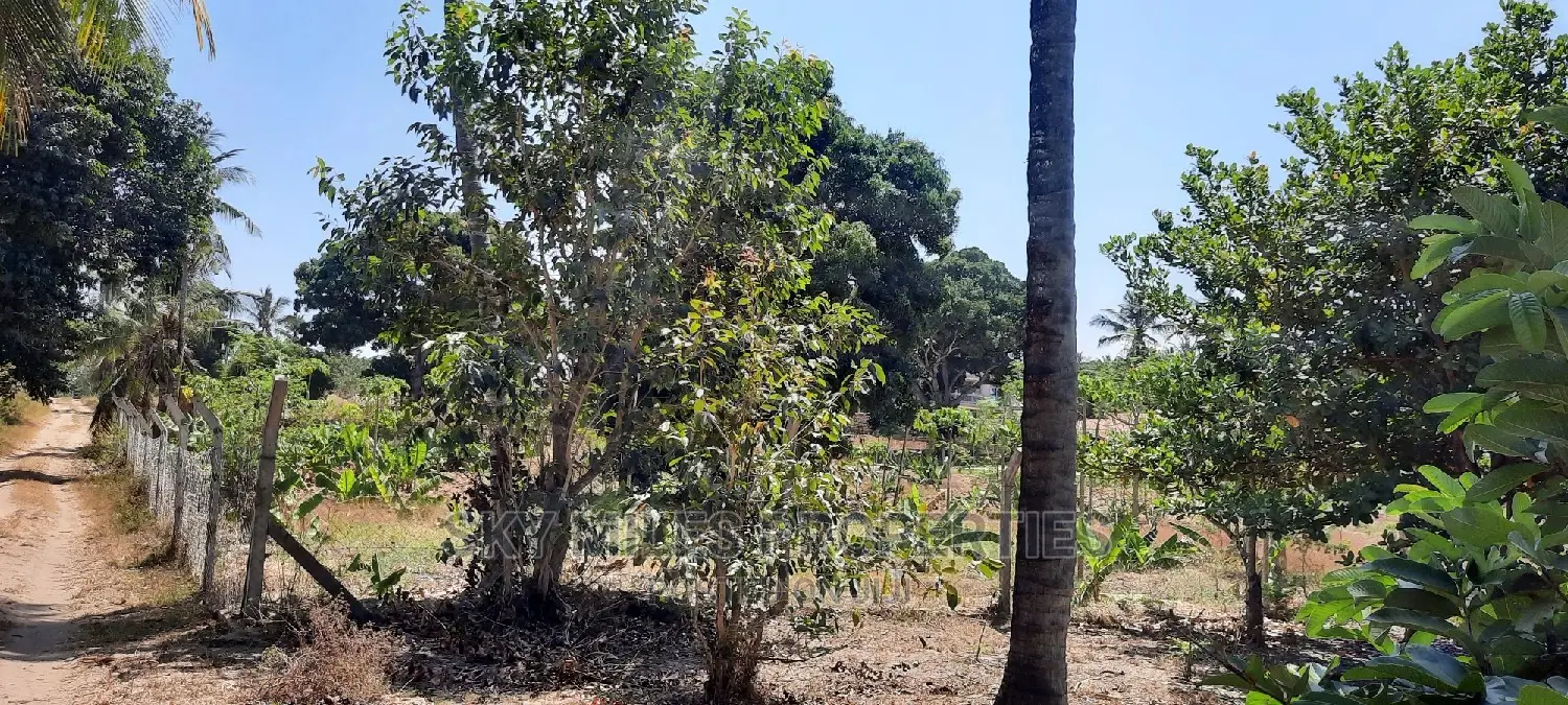 Prime Plots for Sale in Mtwapa: Seize the Opportunity Now! in Mtwapa