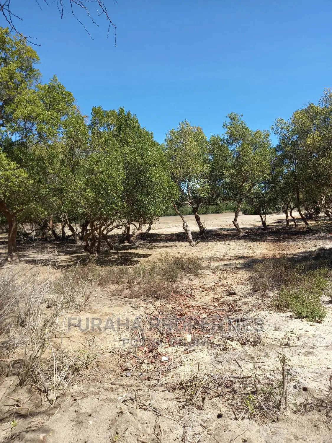 Quarter Acre Land by the Creek in Mtwapa - For Sale in Mtwapa