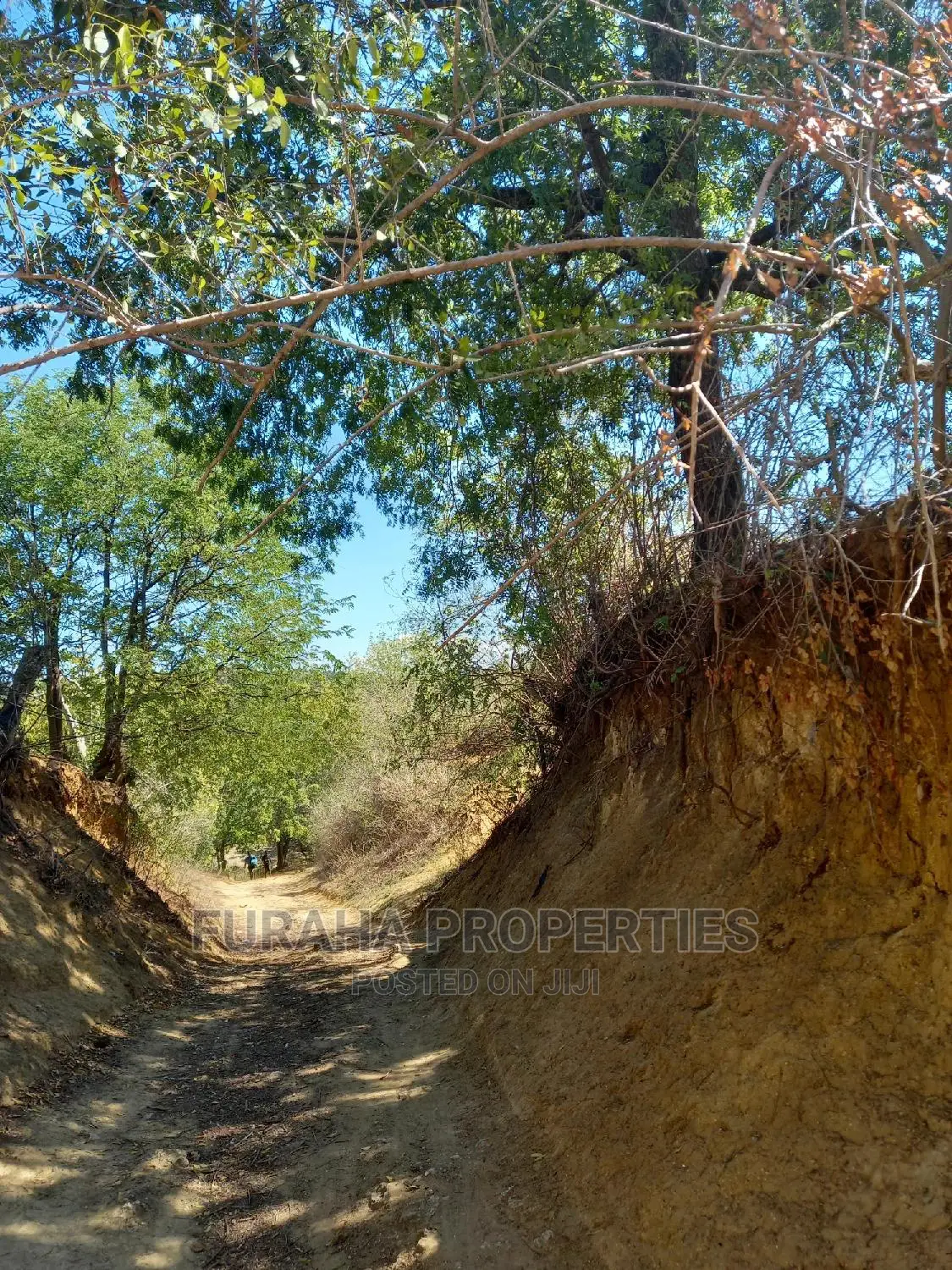Quarter Acre Land by the Creek in Mtwapa - For Sale in Mtwapa