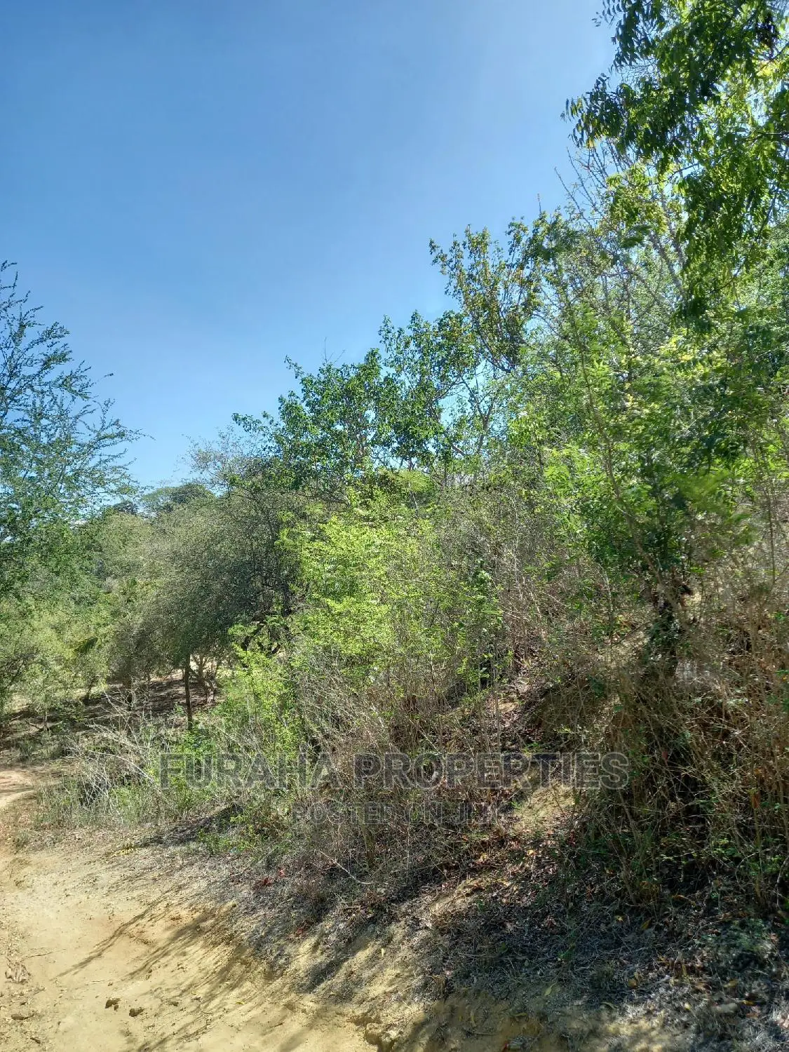 Quarter Acre Land by the Creek in Mtwapa - For Sale in Mtwapa