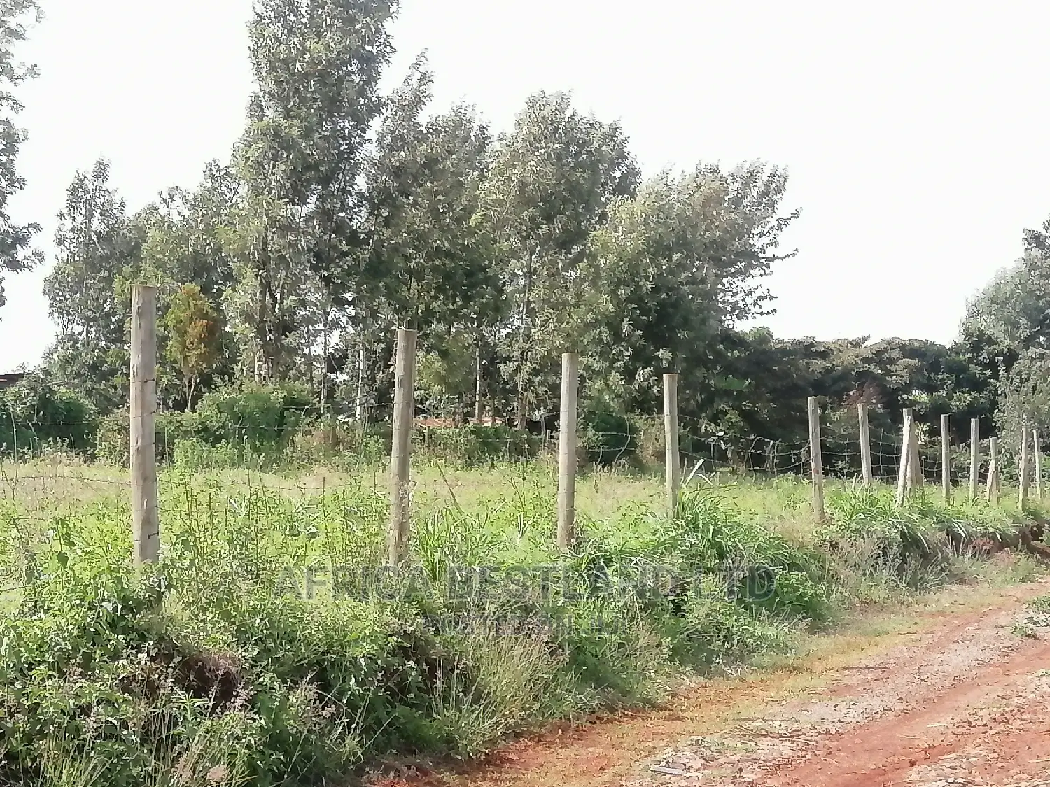 100x100 Ft Plot for Sale in Gikambura Kikuyu Kiambu County in Kikuyu