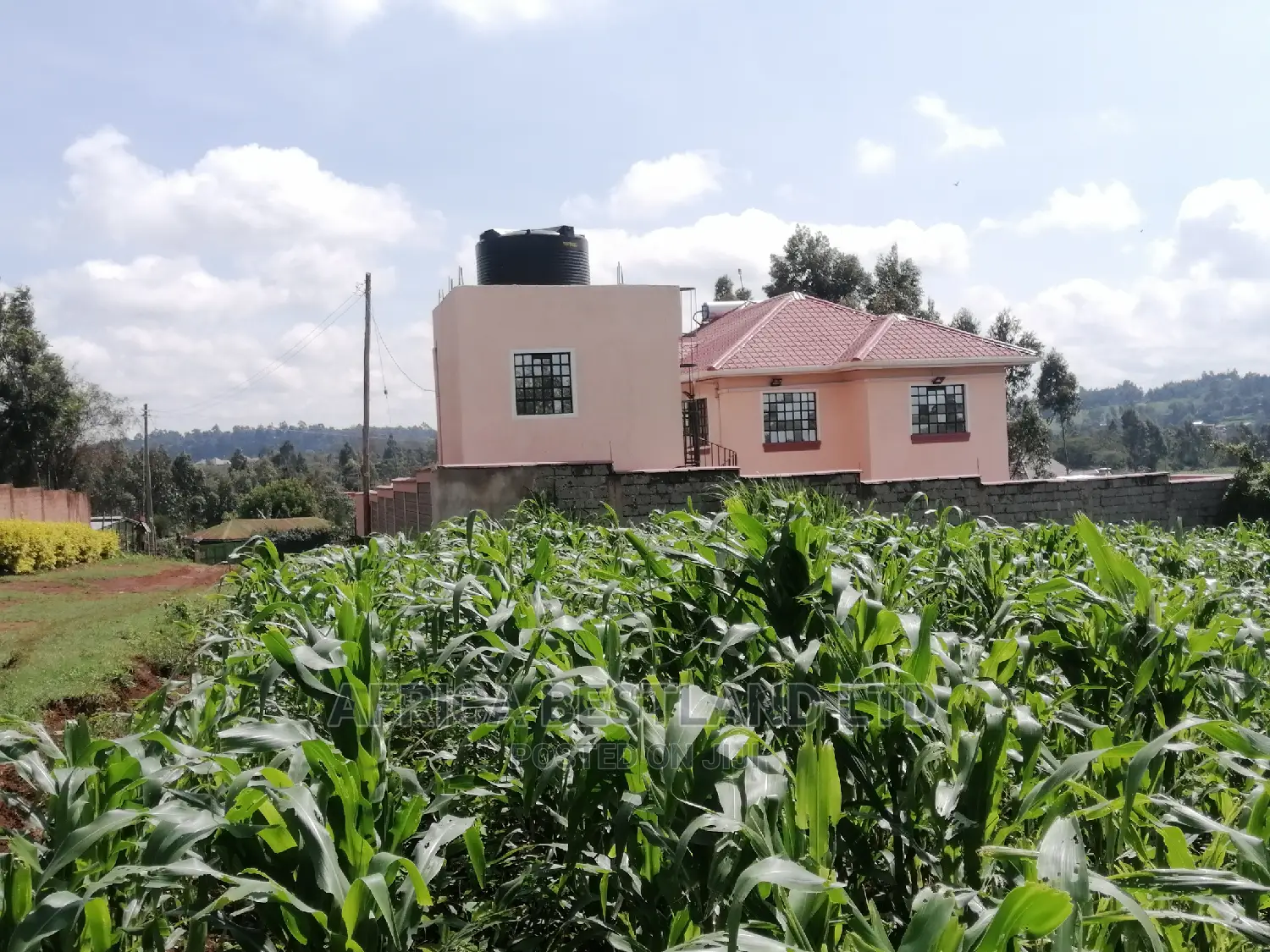100x100 Ft Plot for Sale in Gikambura Kikuyu Kiambu County in Kikuyu