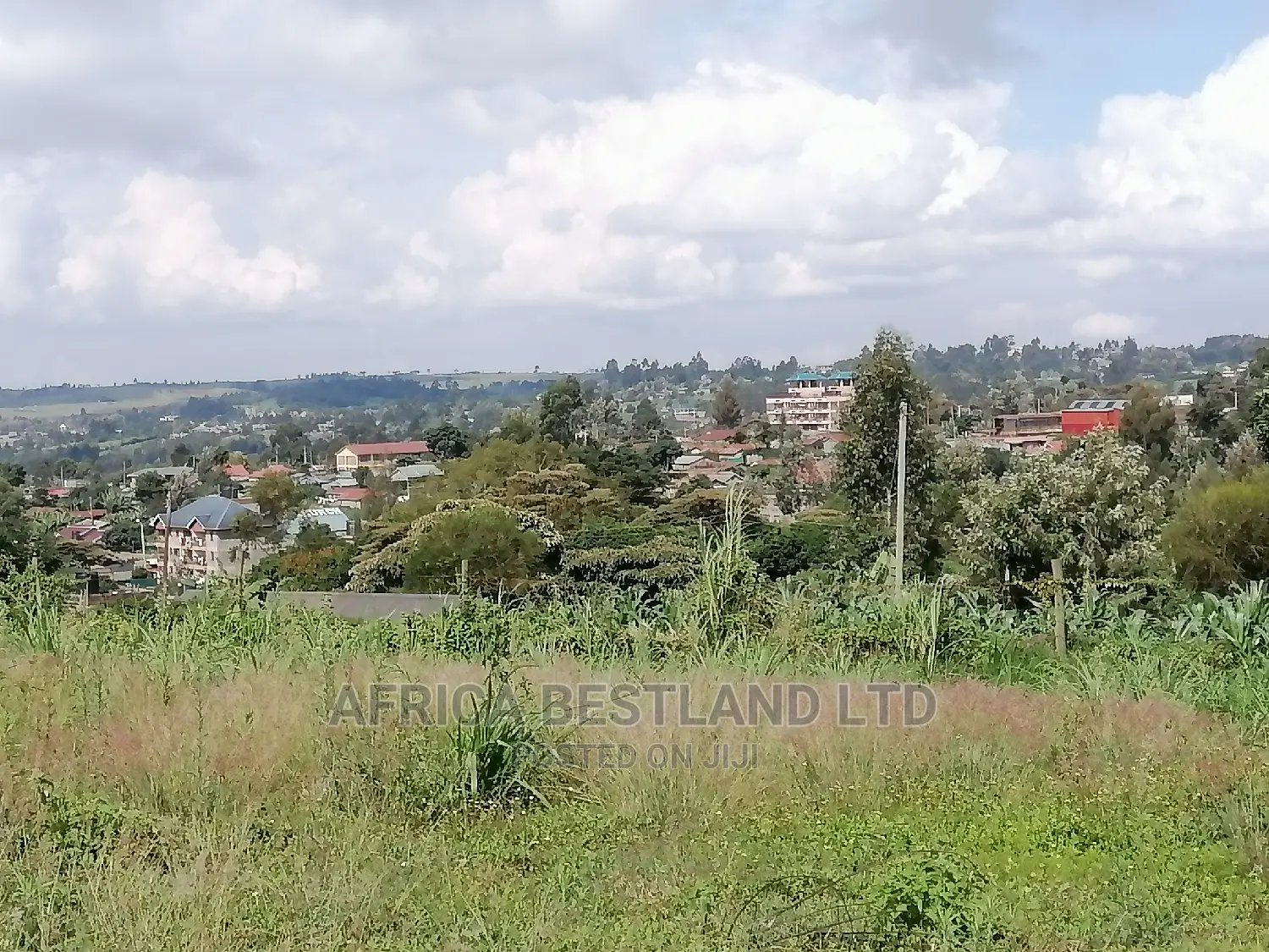 100x100 Ft Plot for Sale in Gikambura Kikuyu Kiambu County in Kikuyu