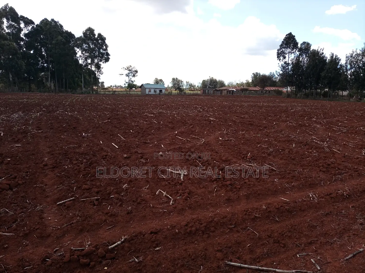 Half Acre Kaplelach Land Available - Mother Title: 5 Acres for Sale in Elgon View