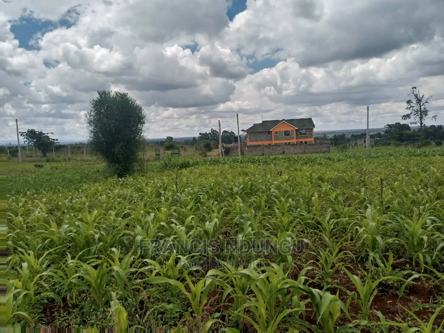 40x80 Plot for Sale Tinganga Anmer Next to Migaa Estate. in Tinganga