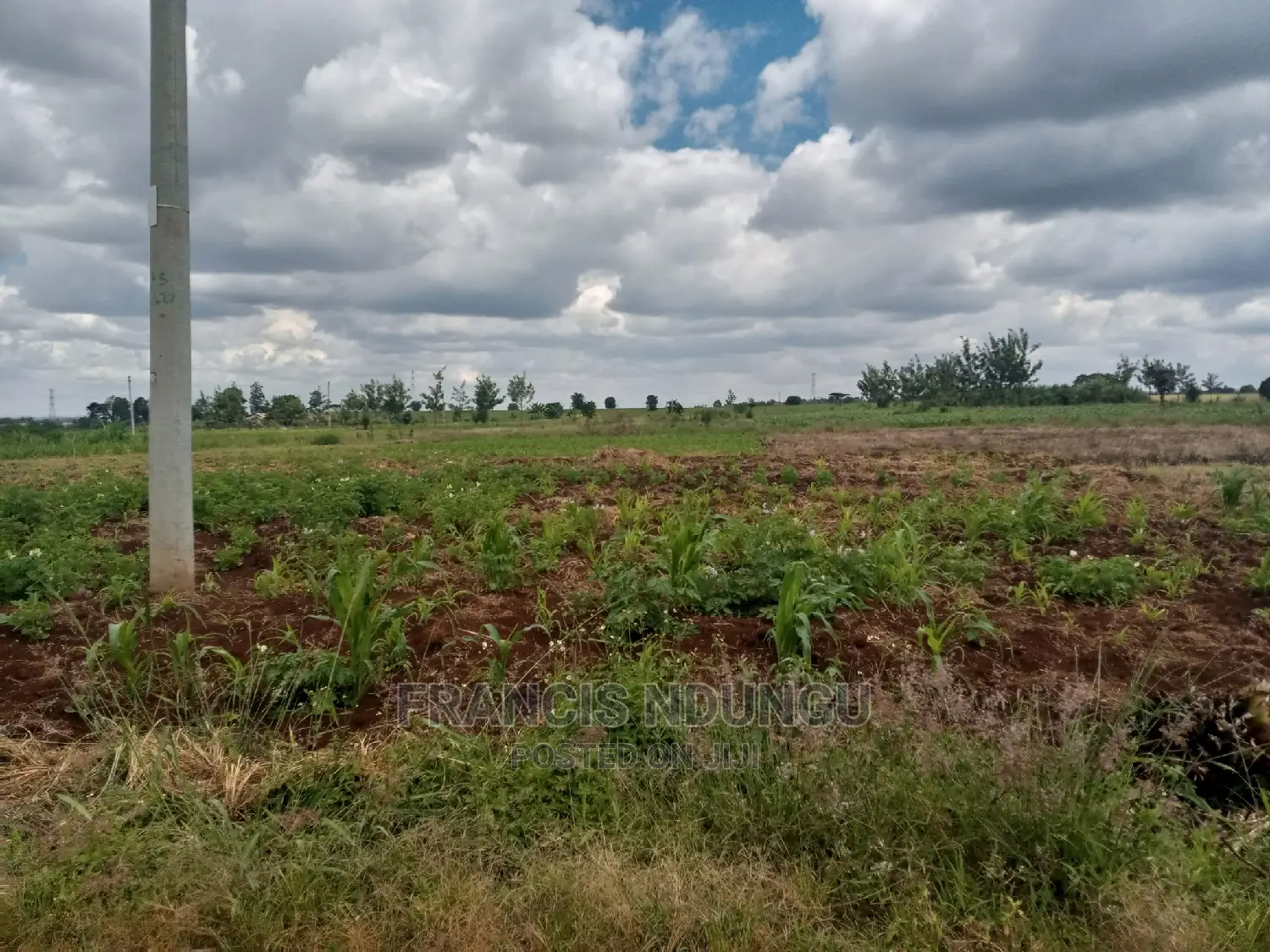40x80 Plot for Sale Tinganga Anmer Next to Migaa Estate. in Tinganga
