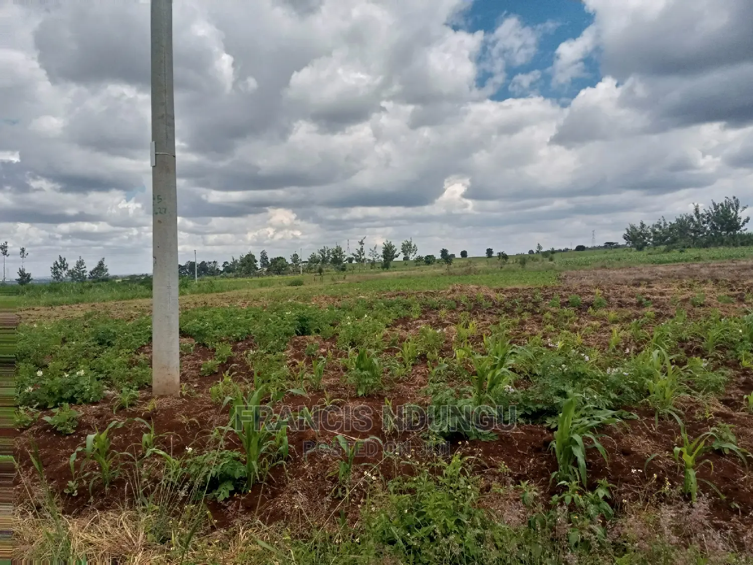40x80 Plot for Sale Tinganga Anmer Next to Migaa Estate. in Tinganga