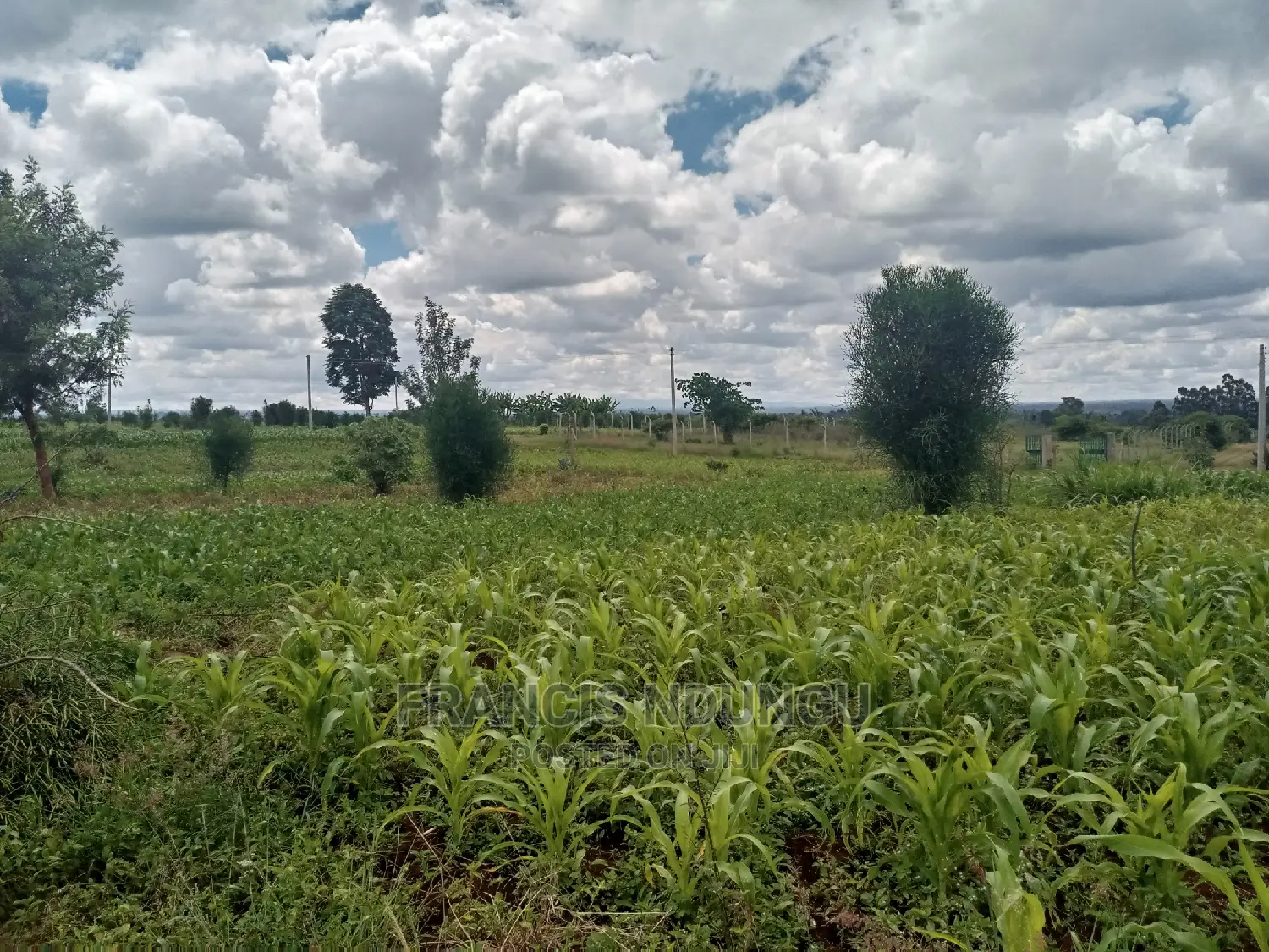 40x80 Plot for Sale Tinganga Anmer Next to Migaa Estate. in Tinganga