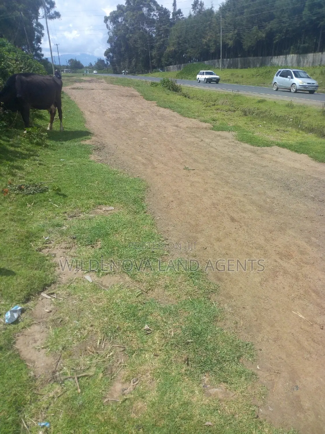 Prime Land Available: 50*100 Plot in Kanyua Kinangop in Magumu