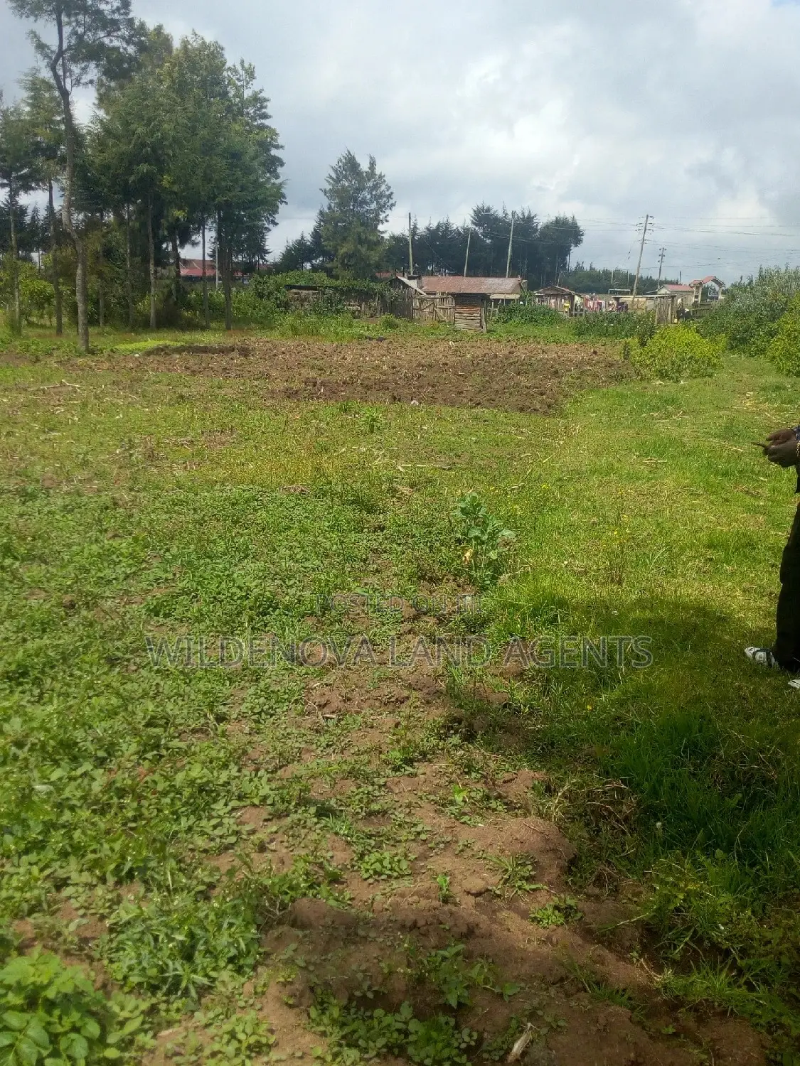 Prime Land Available: 50*100 Plot in Kanyua Kinangop in Magumu