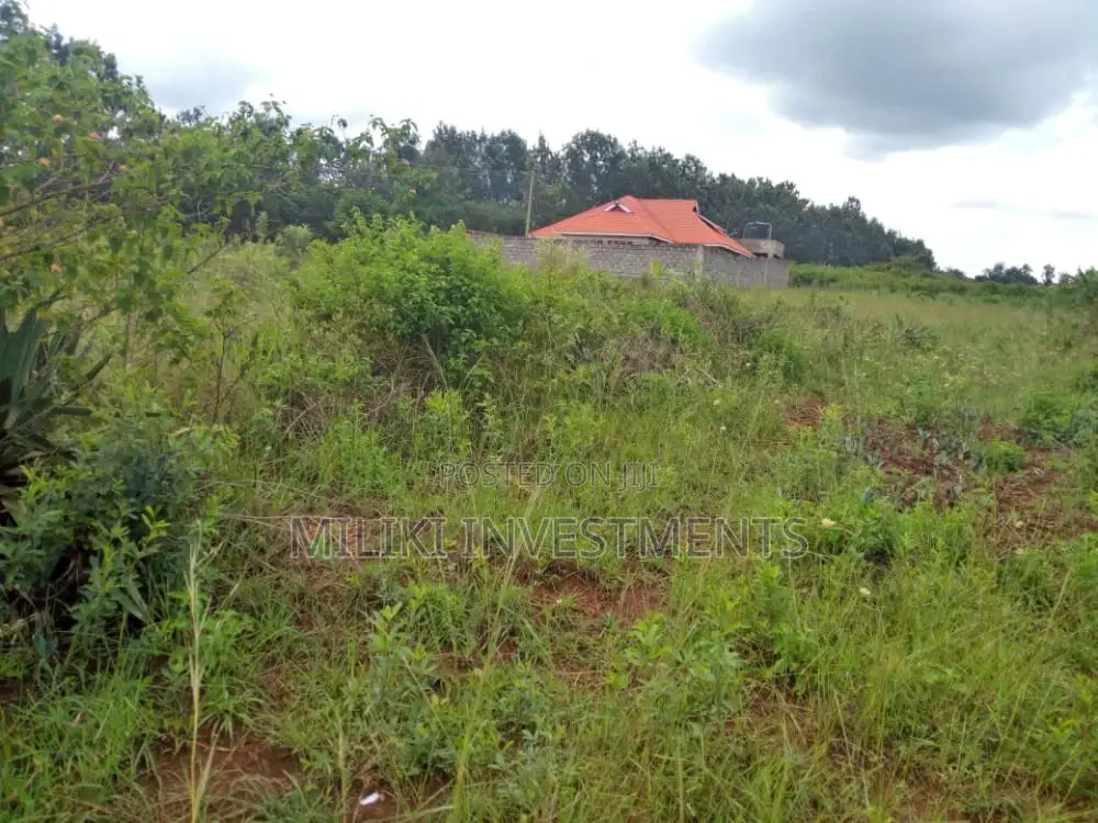 1/4-Acre Land Investment Opportunity in Mbombo, Maragua in Mbiri