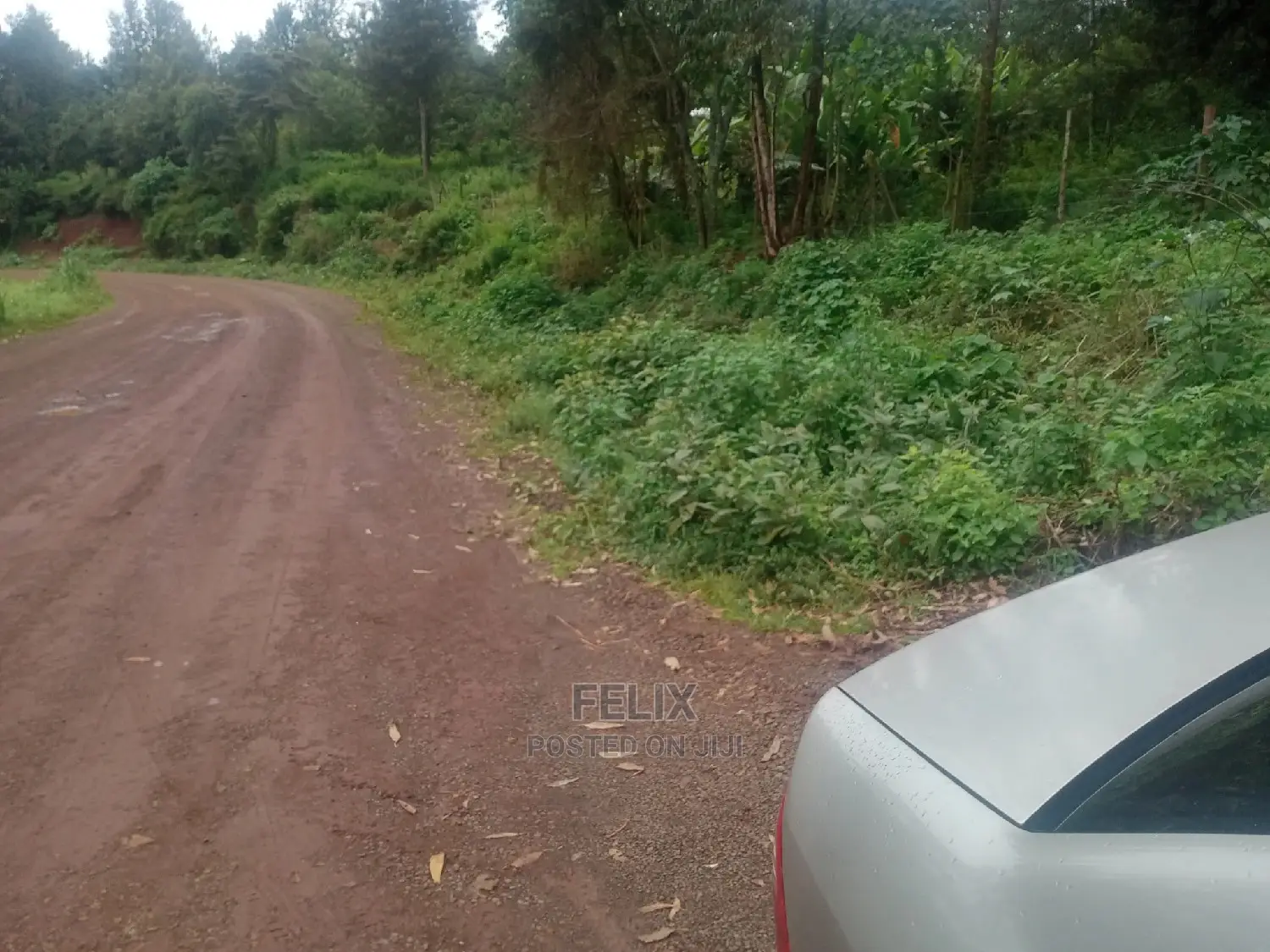 Karatina/ Ruthagati Main Tarmac in Karatina Town