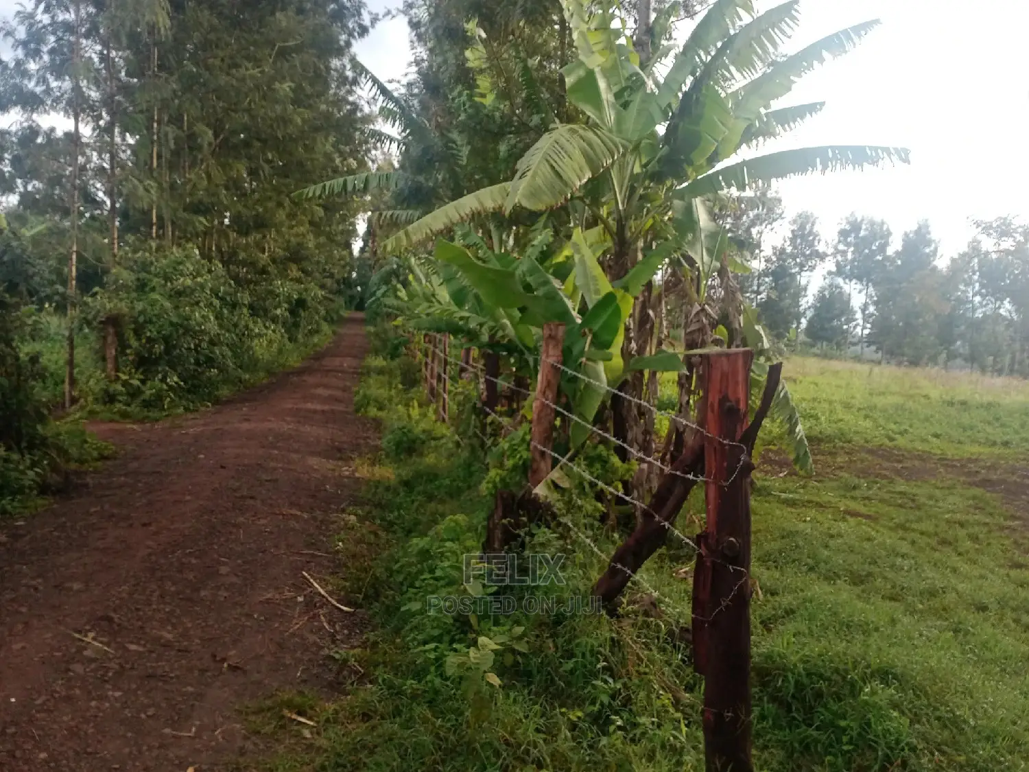 Karatina/ Ruthagati Main Tarmac in Karatina Town