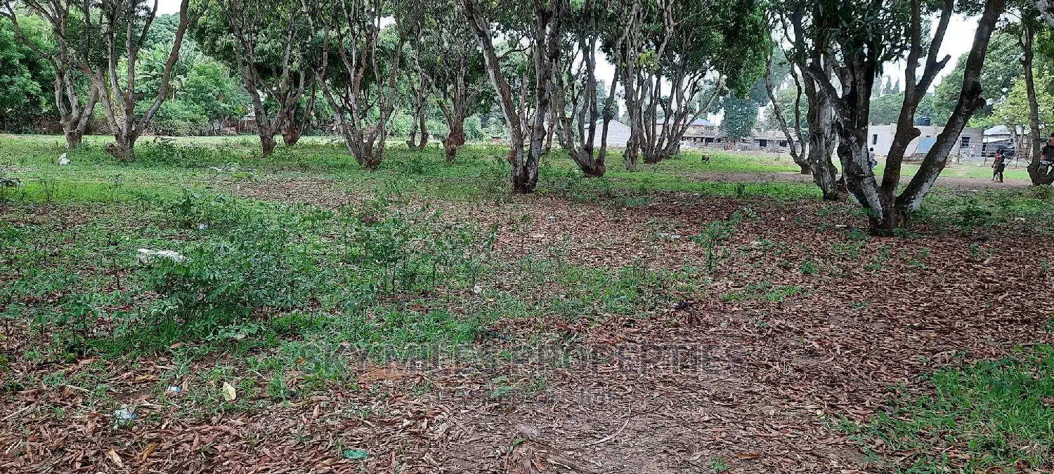 Mtwapa Land Plots: Grab Your Chance, Only 50/100 Remain! in Mtwapa