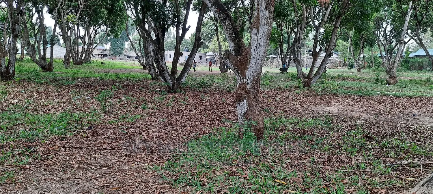 Mtwapa Land Plots: Grab Your Chance, Only 50/100 Remain! in Mtwapa