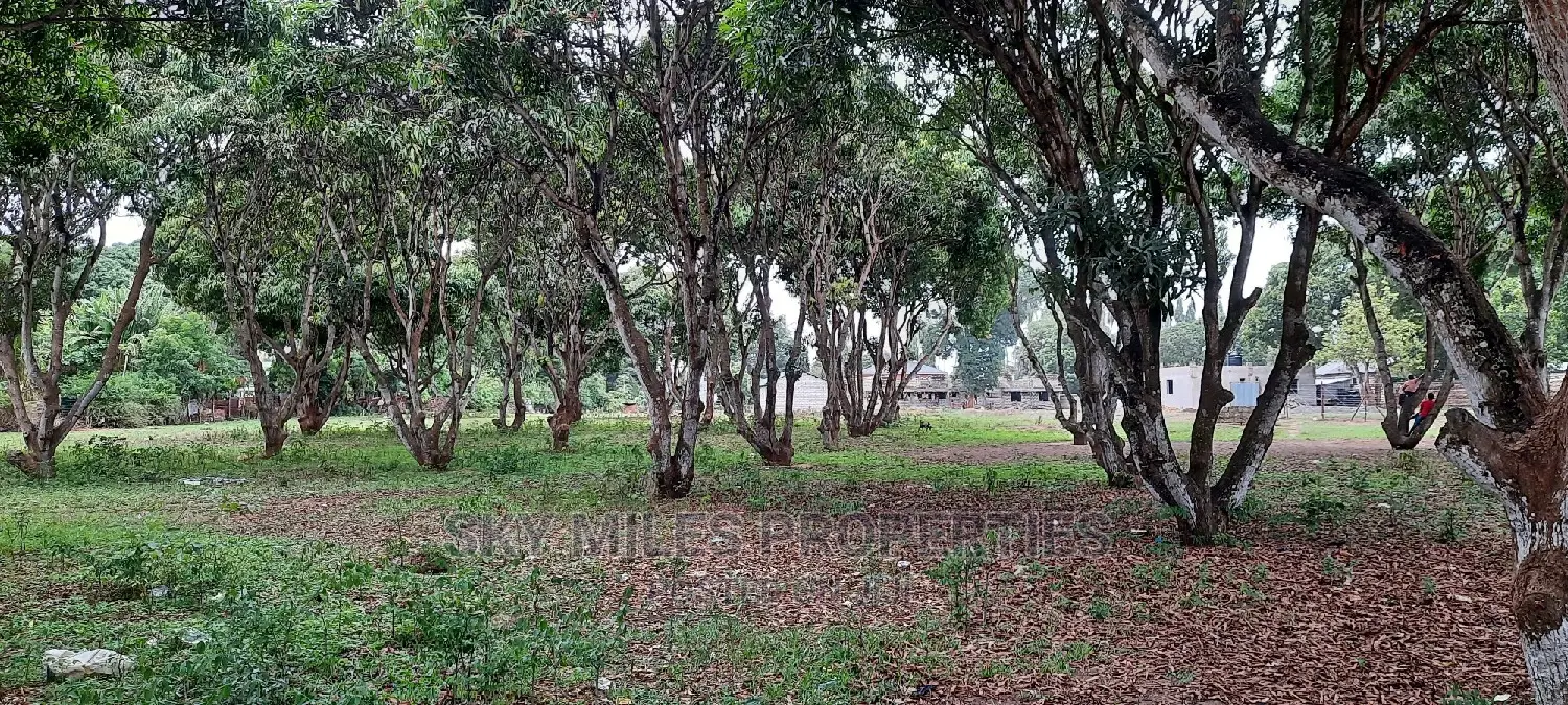 Mtwapa Land Plots: Grab Your Chance, Only 50/100 Remain! in Mtwapa