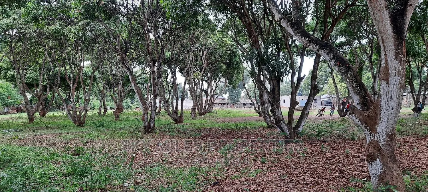 Mtwapa Land Plots: Grab Your Chance, Only 50/100 Remain! in Mtwapa