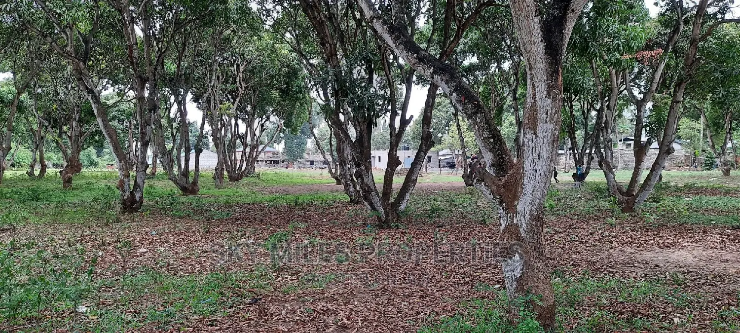 Mtwapa Land Plots: Grab Your Chance, Only 50/100 Remain! in Mtwapa