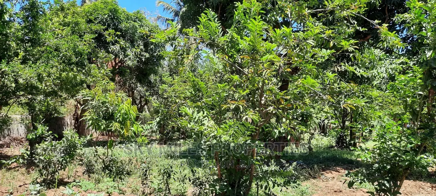 Affordable Acre Property in Mtwapa - Prime Location for Sale in Mtwapa