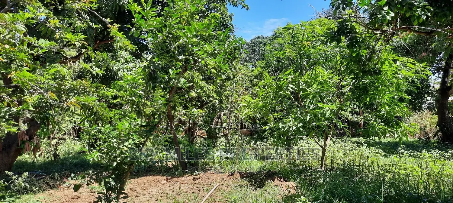 Affordable Acre Property in Mtwapa - Prime Location for Sale in Mtwapa