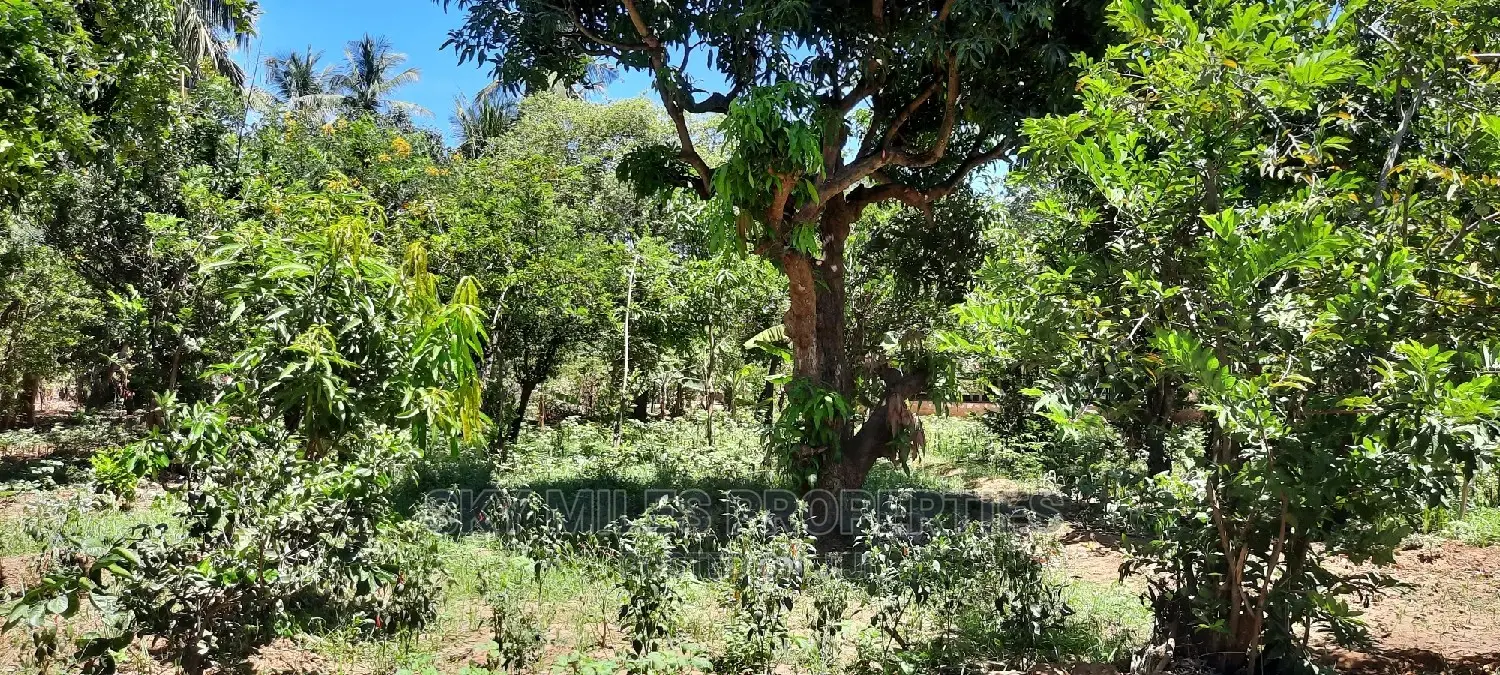 Affordable Acre Property in Mtwapa - Prime Location for Sale in Mtwapa