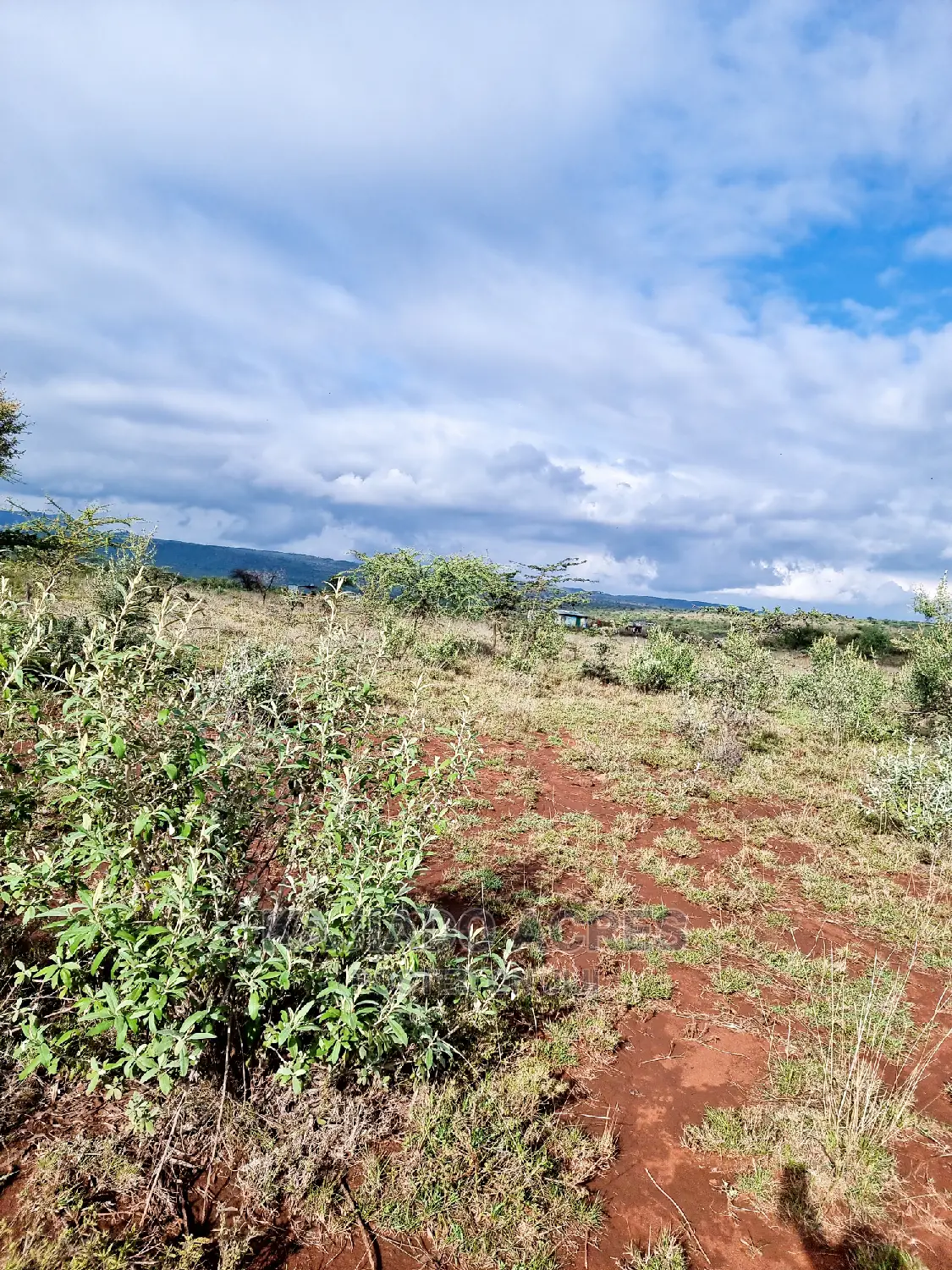 23 Acres of Saikeri Land - Perfect for Agriculture or Development in Ngong