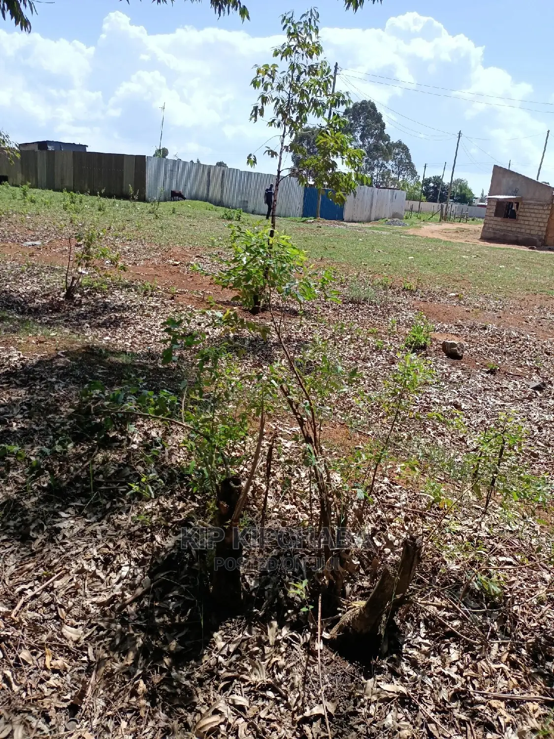 Invest in a Thriving Business Hub: Commercial Plot for Sale in KIMUMU, Eldoret in Kimumu