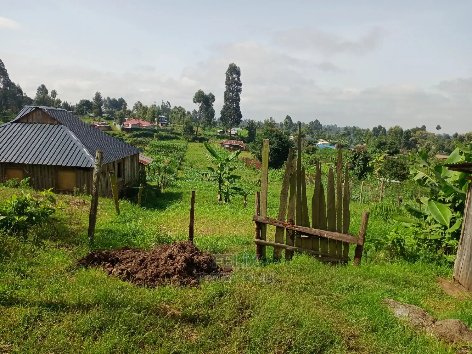 Prime Plots in Karatina With Ready Title Deeds in Karatina Town