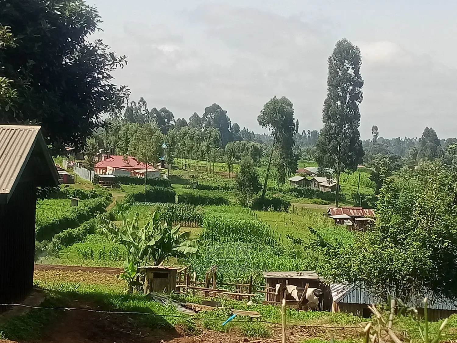 Prime Plots in Karatina With Ready Title Deeds in Karatina Town