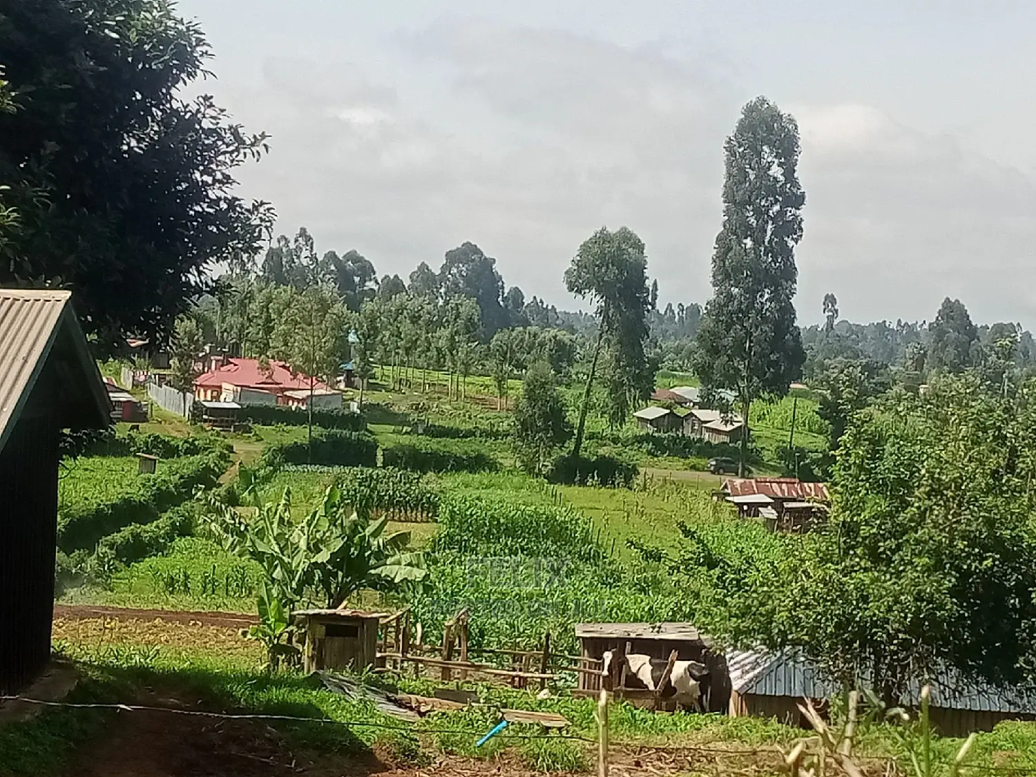 Prime Plots in Karatina With Ready Title Deeds in Karatina Town
