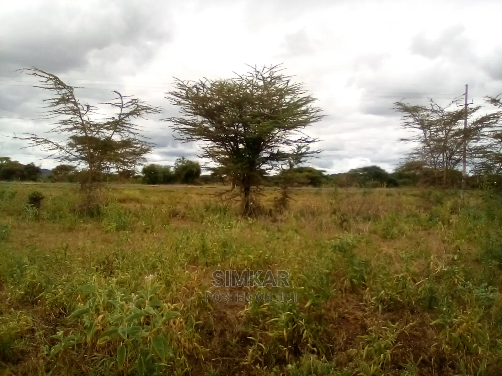 Land For Sale: 153-Acres on Ngatataek Town's Namanga Road in Namanga