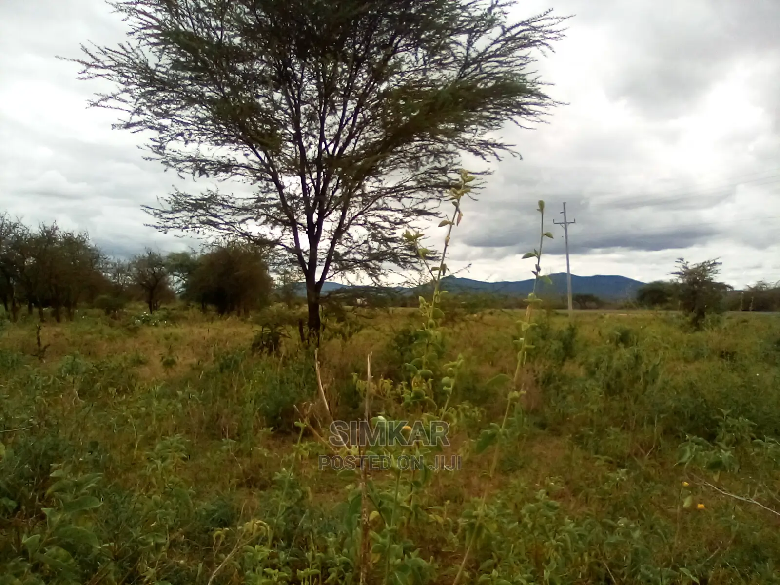 Land For Sale: 153-Acres on Ngatataek Town's Namanga Road in Namanga