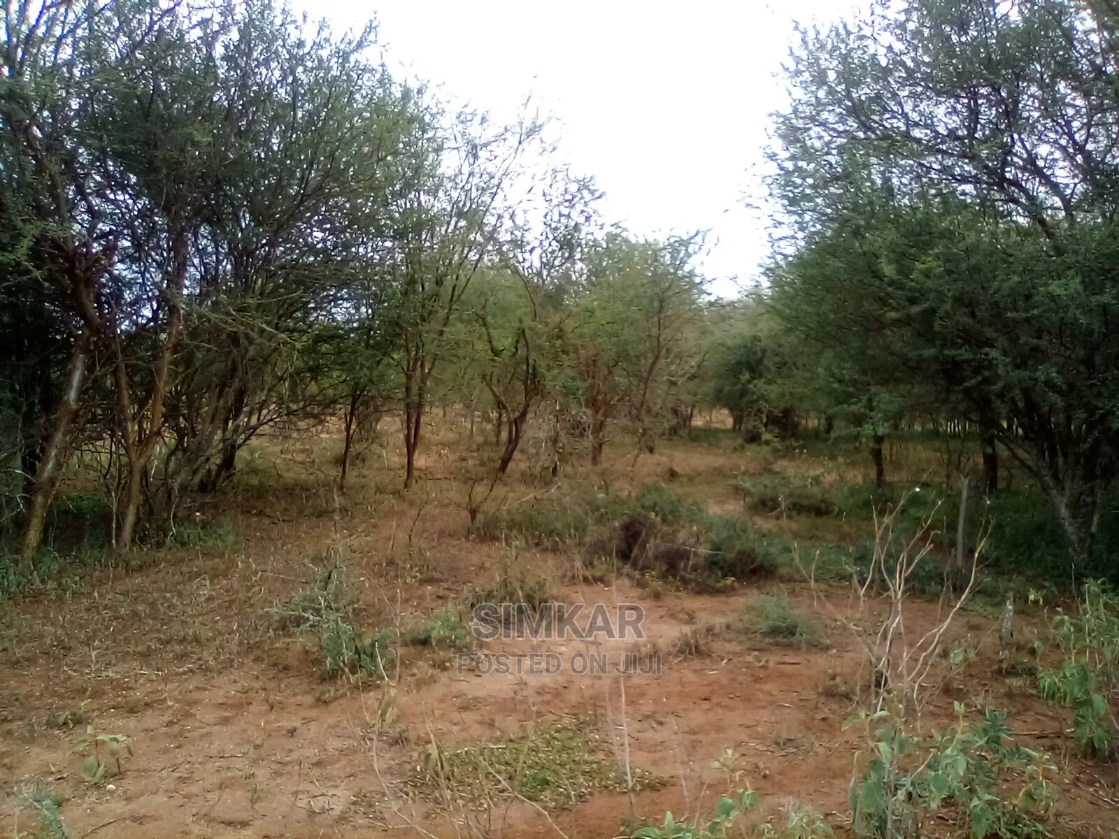 Land For Sale: 153-Acres on Ngatataek Town's Namanga Road in Namanga