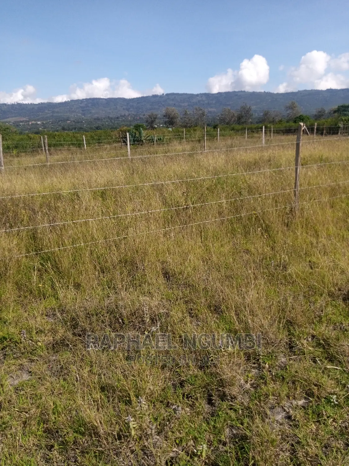 Israel Plot Available in Kenya - Real Estate Opportunity in Machakos Town