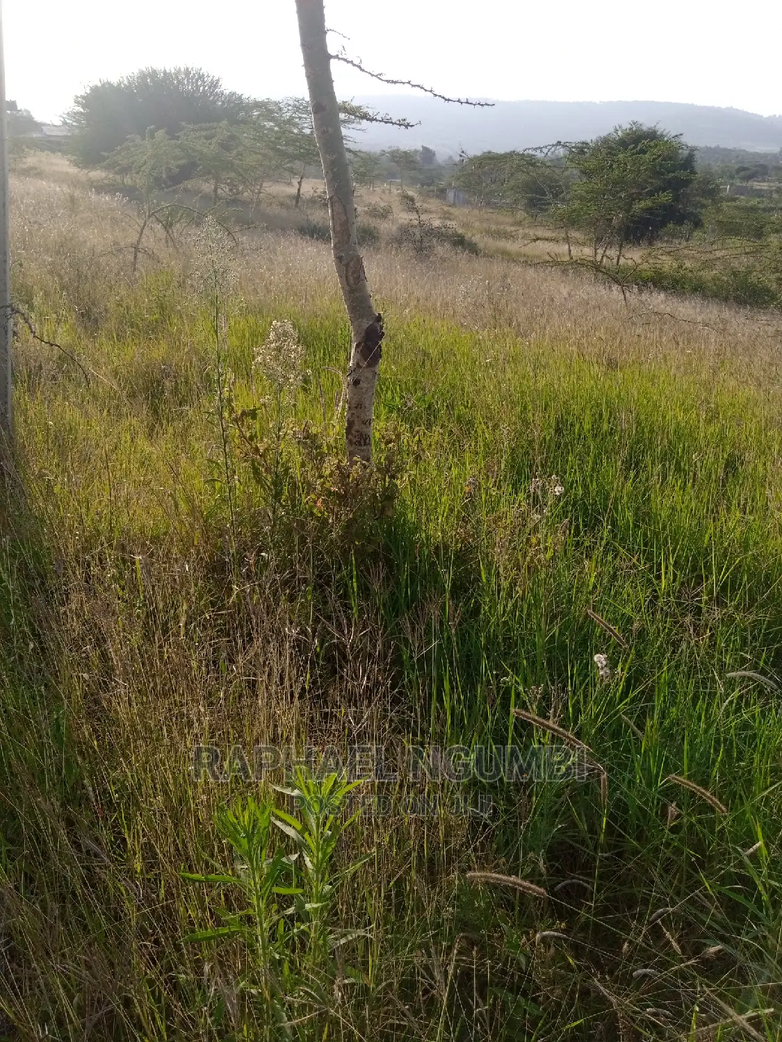 2 Acres Touching Mombasa Road: Prime Real Estate Investment Opportunity in Machakos Town