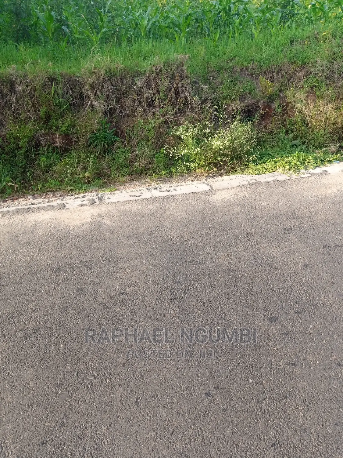 2 Acres Touching Mombasa Road: Prime Real Estate Investment Opportunity in Machakos Town