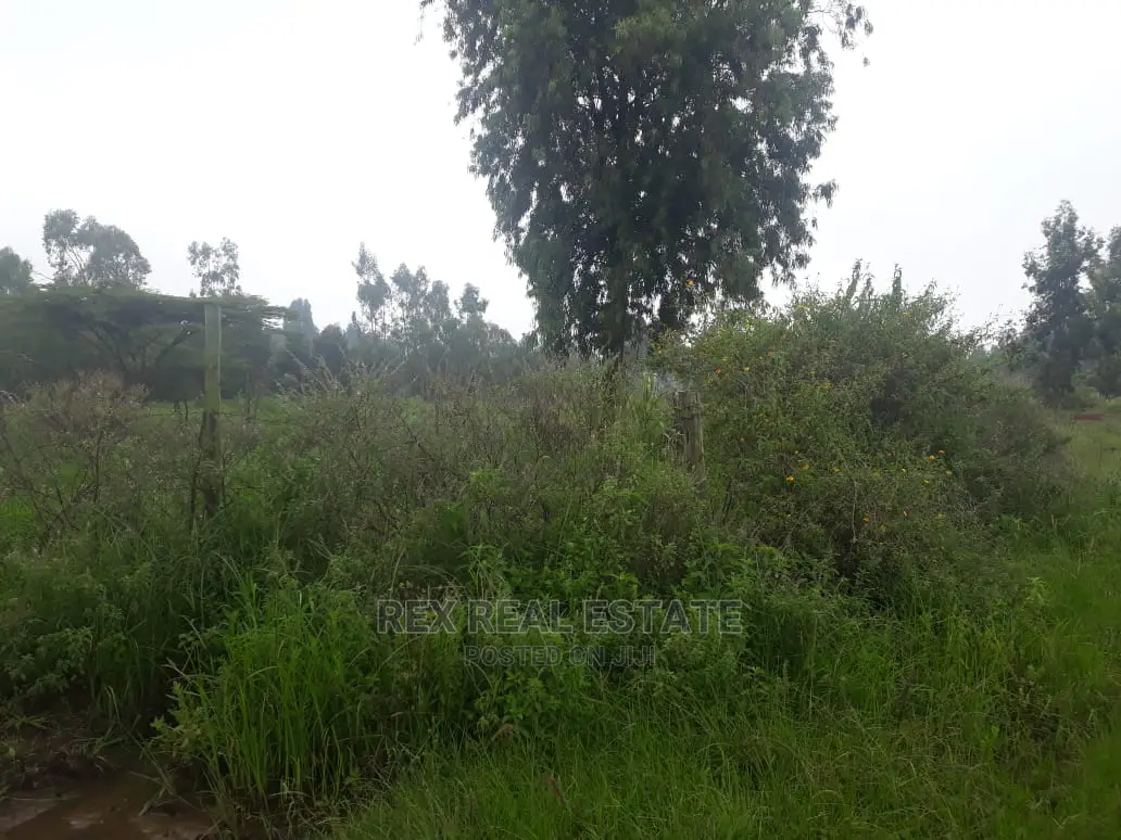 Charming 1/2 Acre Land for Immediate Sale in Karen, Nairobi in Hardy