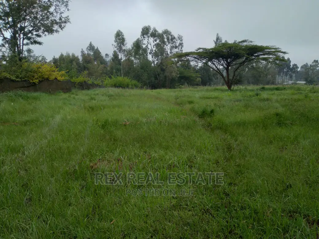 Charming 1/2 Acre Land for Immediate Sale in Karen, Nairobi in Hardy