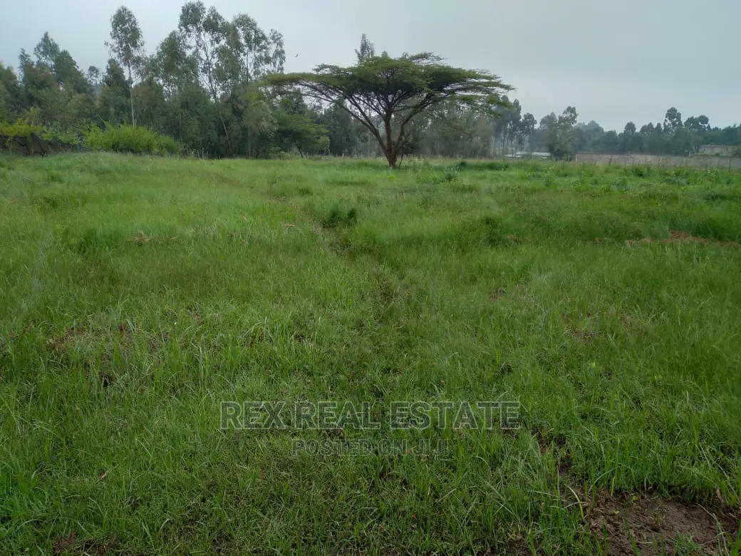 Charming 1/2 Acre Land for Immediate Sale in Karen, Nairobi in Hardy