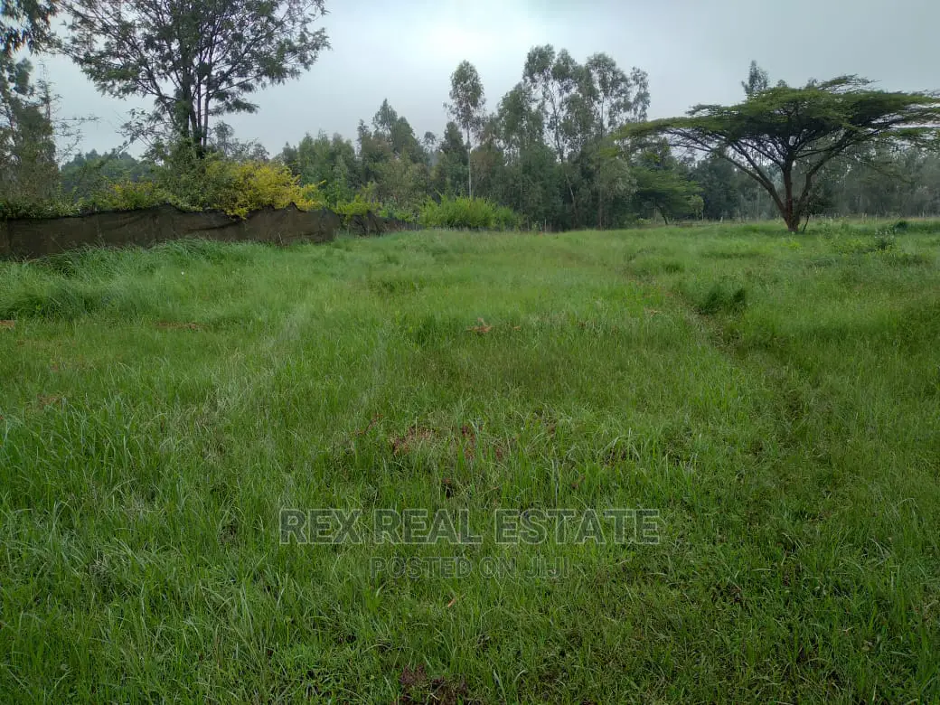 Charming 1/2 Acre Land for Immediate Sale in Karen, Nairobi in Hardy